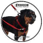 Freedom Harness